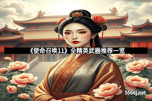 《使命召唤11》全精英武器推荐一览